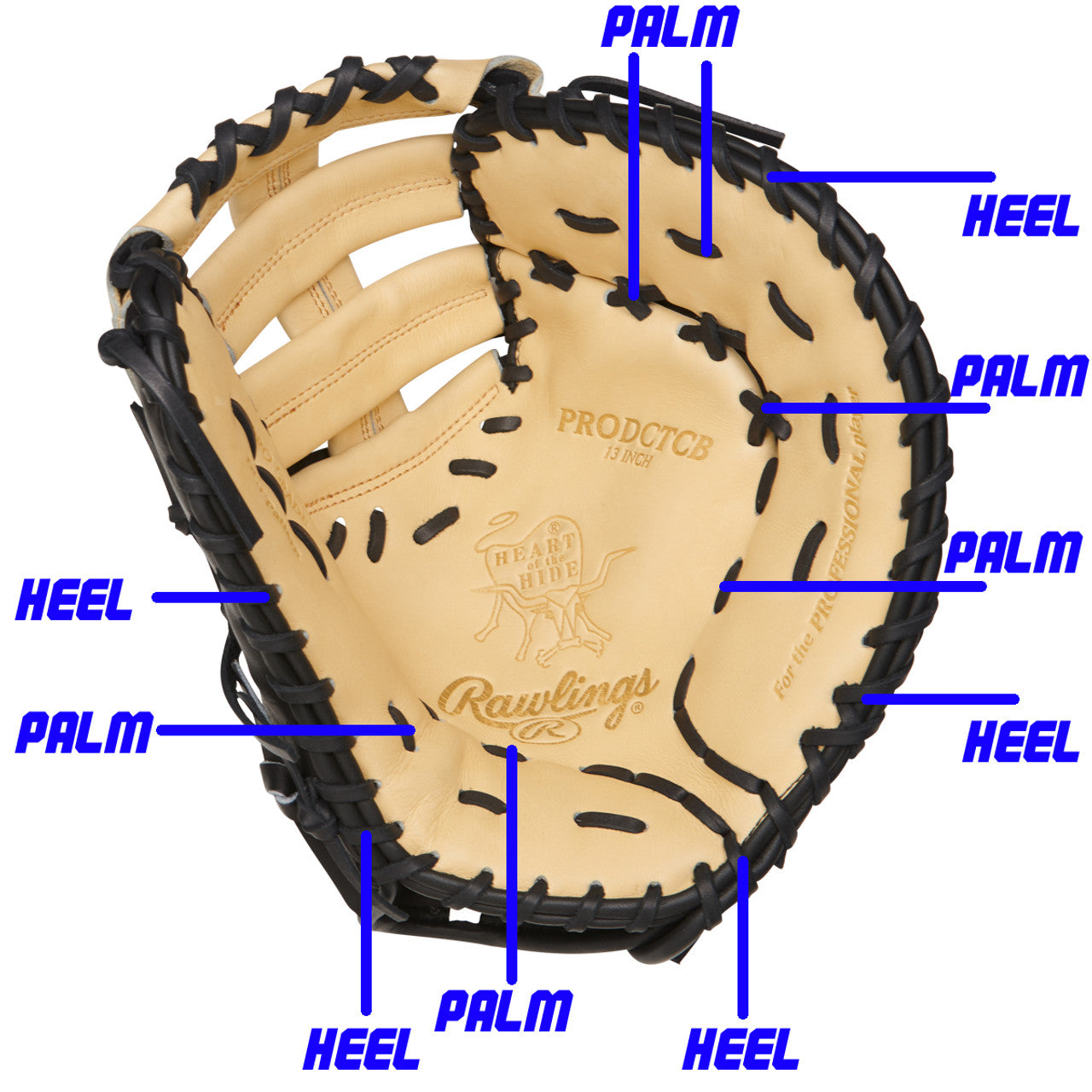 Relacing, 1B/C, Partial Relace, Palm/Heel